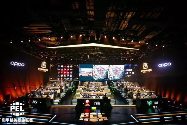 个人职业生 个人职业生