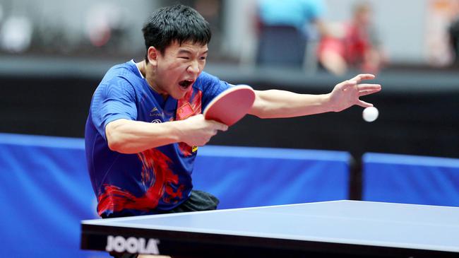 教练和评论 教练和评论