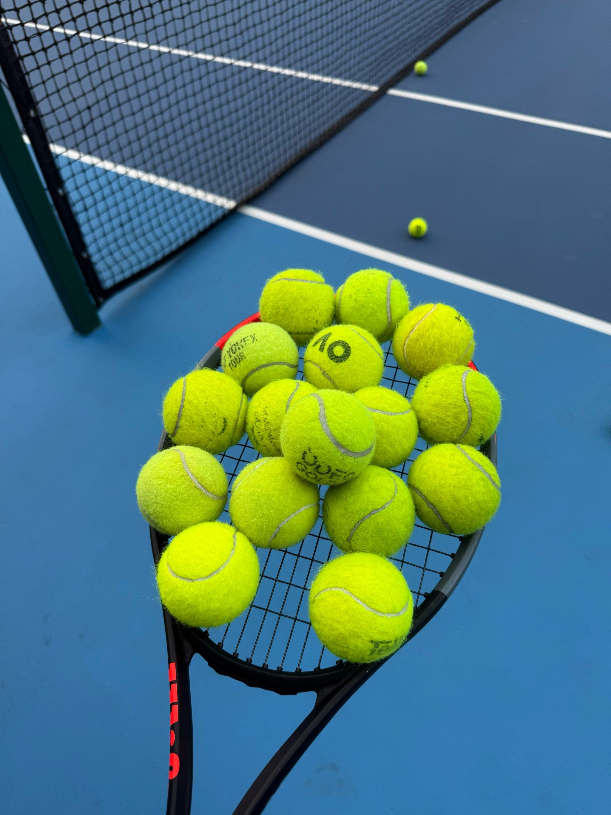 她凭借着幽 她凭借着幽